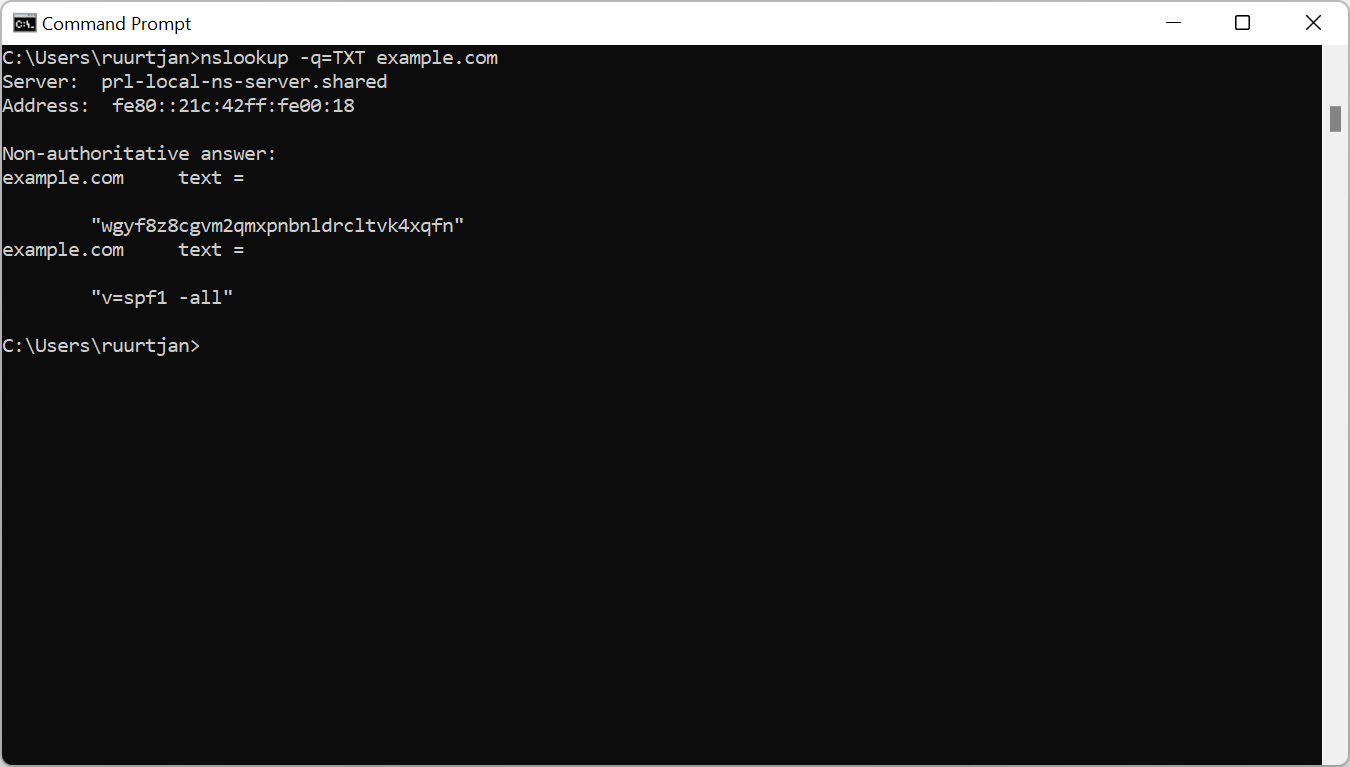 TXT lookup in Windows